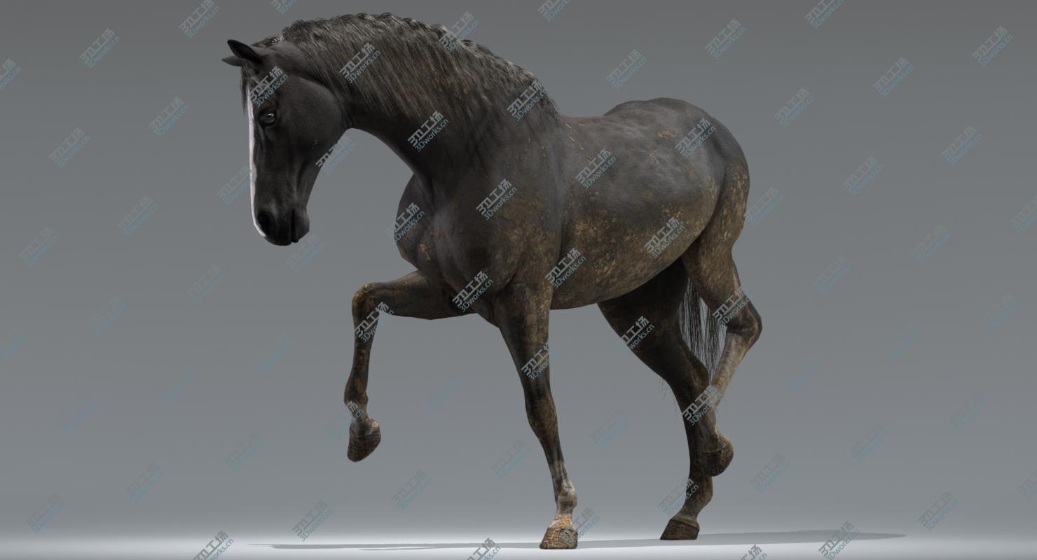 images/goods_img/20210313/3D Horses (Rigged) model/4.jpg